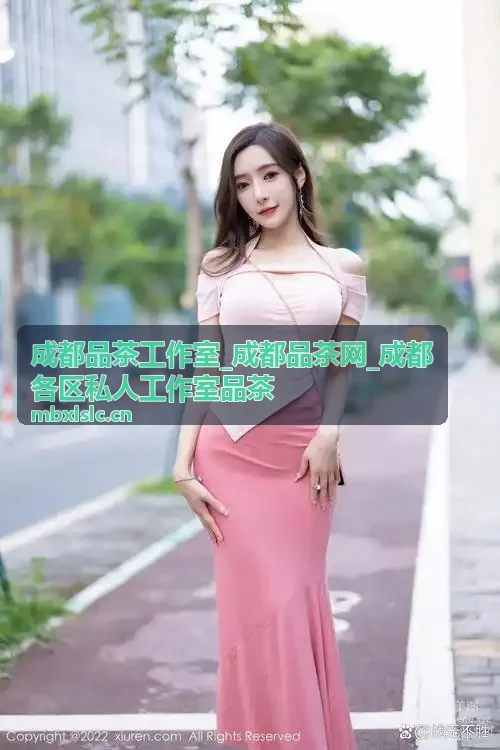成都品茶工作室商务茶叙环境